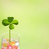 お葬式(葬儀)が初めての方